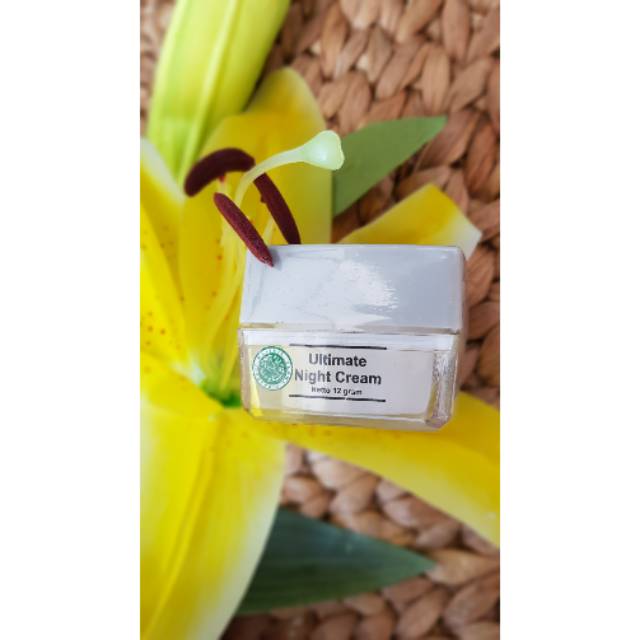 ULTIMATE NIGHT CREAM MS GLOW/CREAM MALAM FLEK MS GLOW