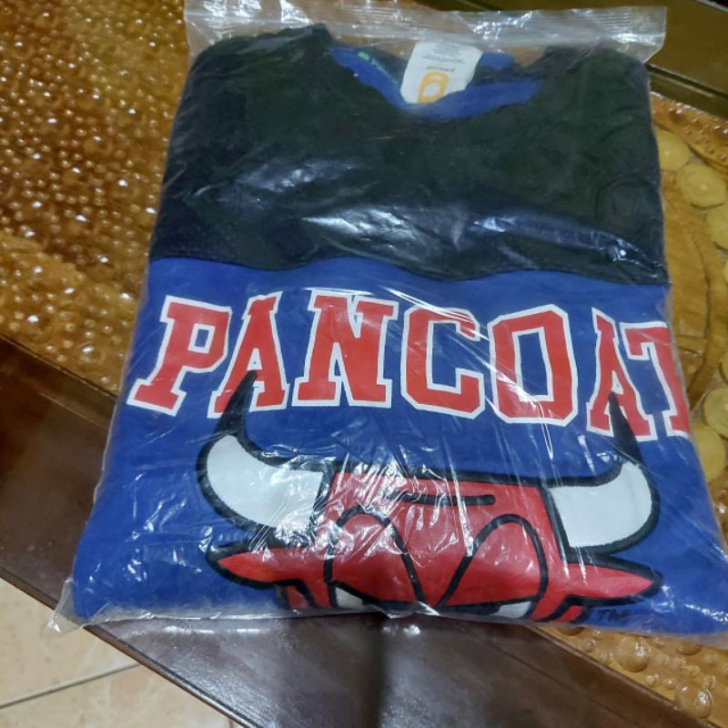 Pancoat Bulls