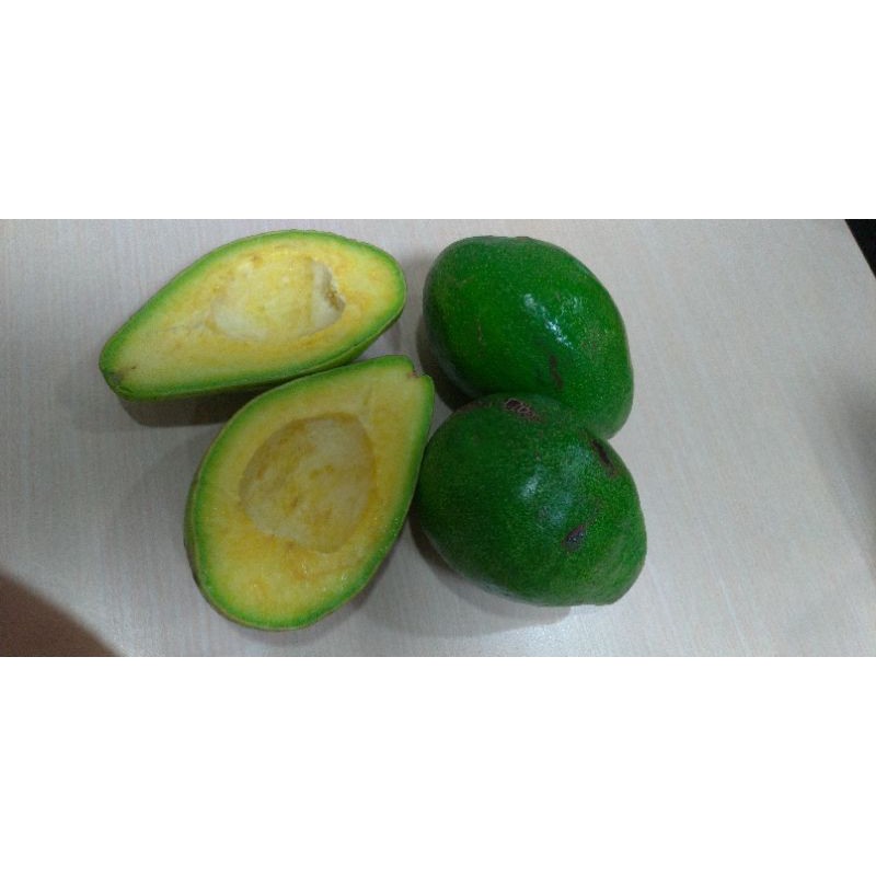 

Buah Alpukat Mentega asal Lampung kualitas bagus
