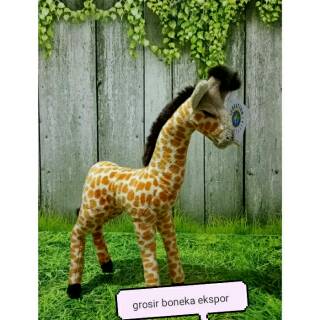 Download 500 Koleksi Gambar Hewan Jerapah Terbaik Gratis HD