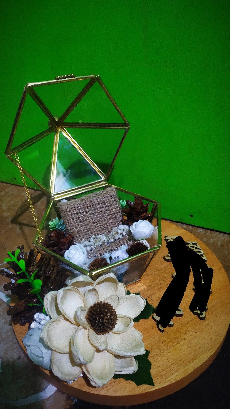 Ring Box Terrarium S6 Pentul 2in1