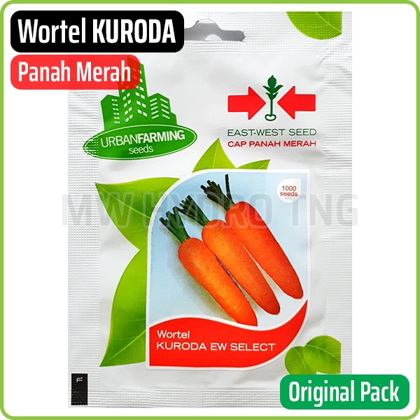 Benih Panah Merah, Wortel KURODA - East West Seed