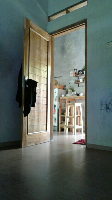 Tanaman Hias Singonium Tisu Sp