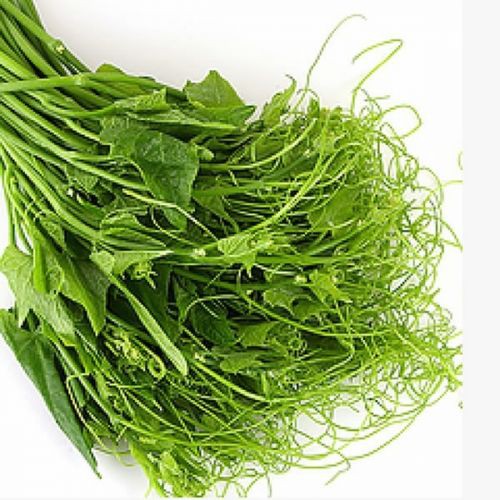 

PUCUK LABU FRESH Papapangan - 1 ikat