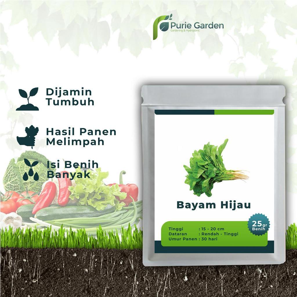 Benih Bibit Biji Unggul Bayam Hijau 25gr PG SBY