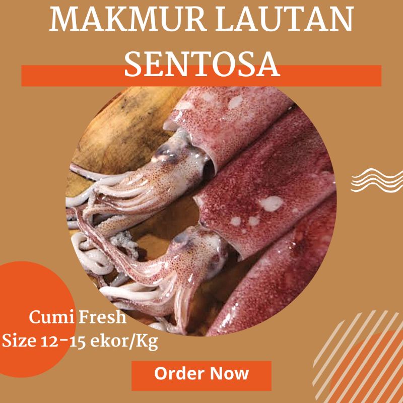 

Cumi Segar Fresh Size 12-15 Ekor/KG