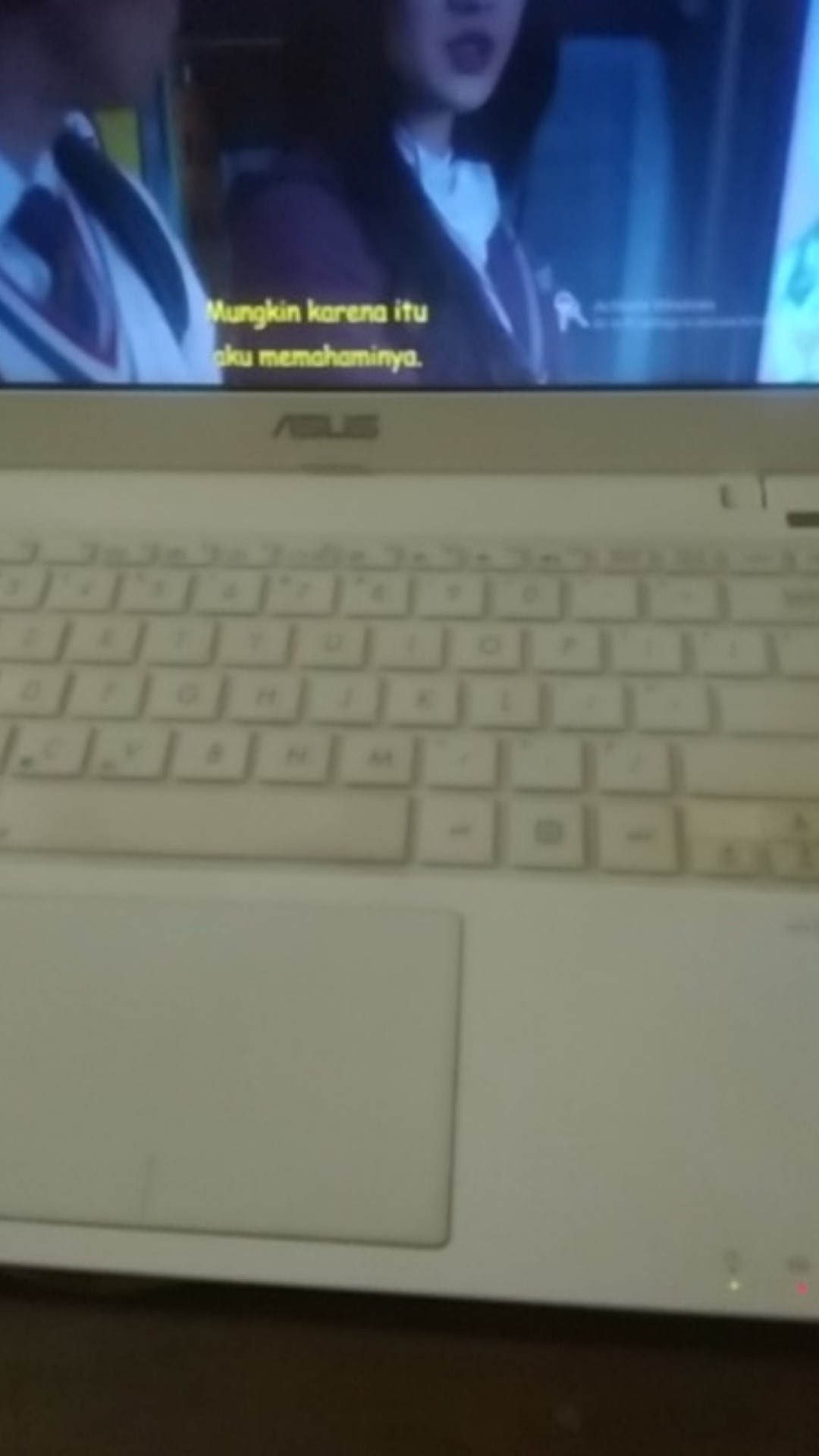 Benih Bibit Biji Wheat Grass Microgreen Rumput Gandum Kemasan Alumunium Foil