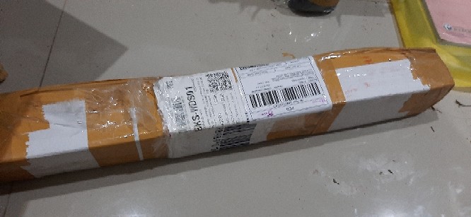 Tanaman Hias Brokoli Kuning