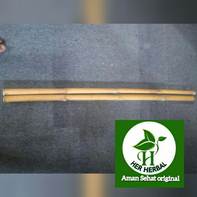 tongkat bambu kuning asli