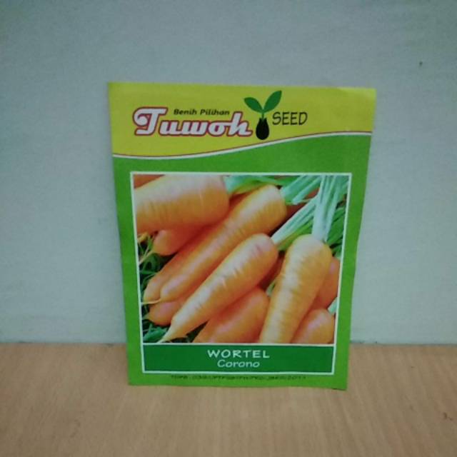 Benih Wortel