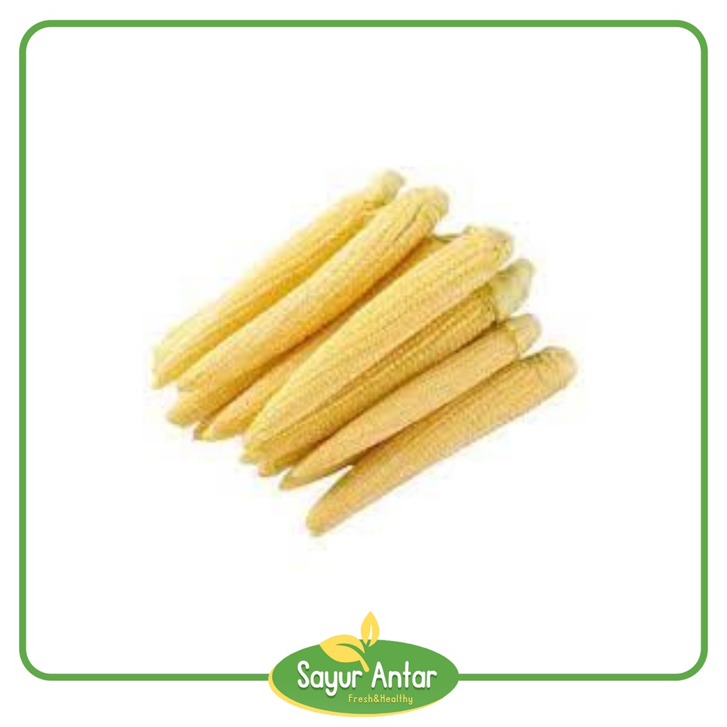 

Jagung Baby / Jagung Muda 250 gr | Sayur.Antar | Free Ongkir Bandung Cimahi