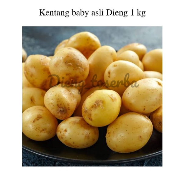 

Kentang Dieng Baby kecil Fresh 1kg