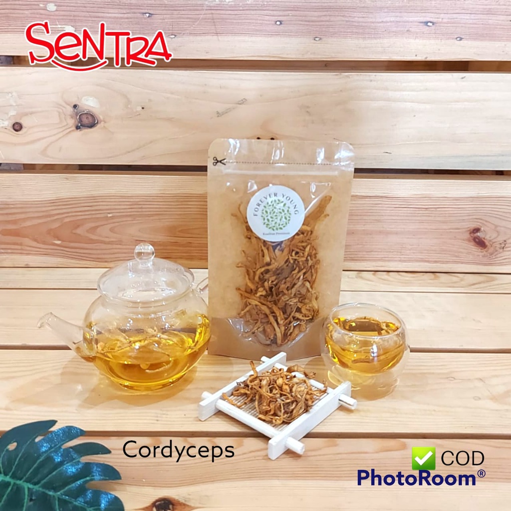 

Teh Bunga Cordyceps Kering Kualitas Premium
