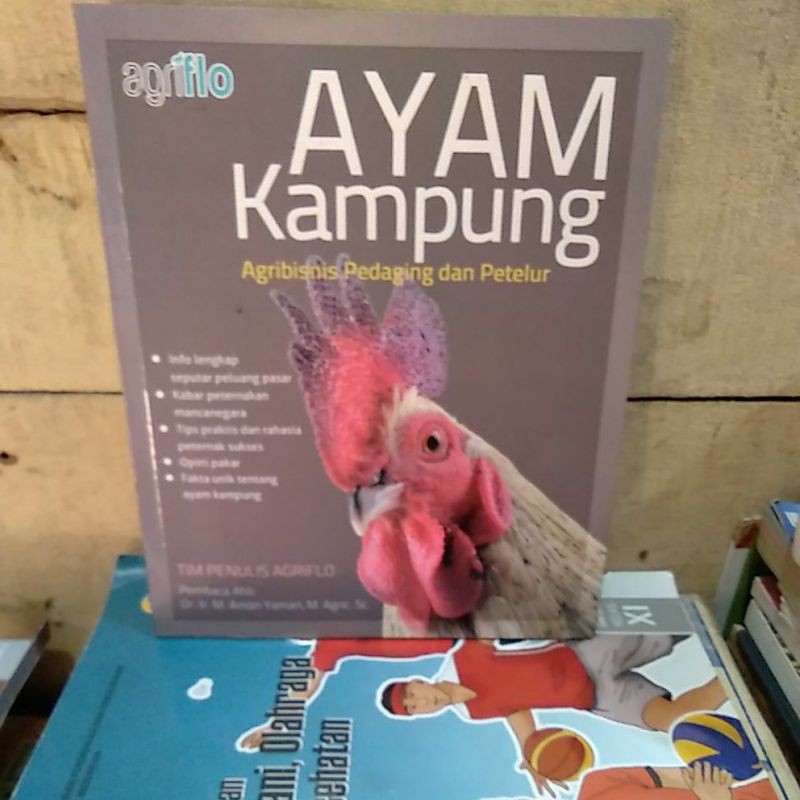 

AYAM KAMPUNG