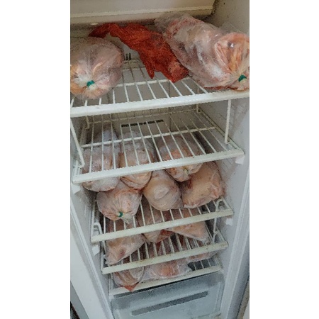 

Bebekfrozen dan BebekHidup