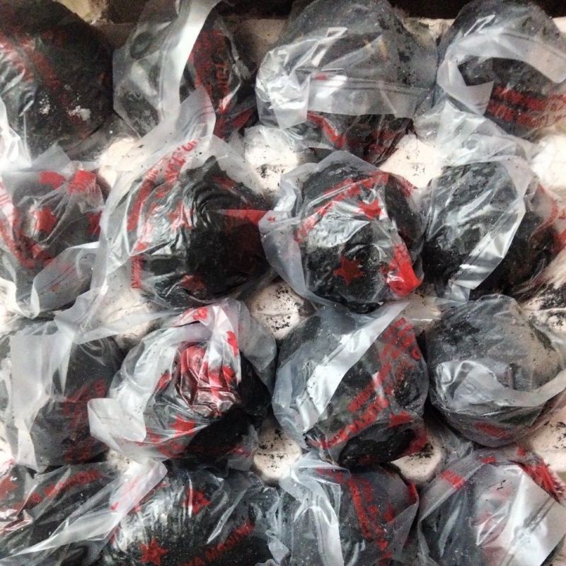 

Telur asin Bintang Merah