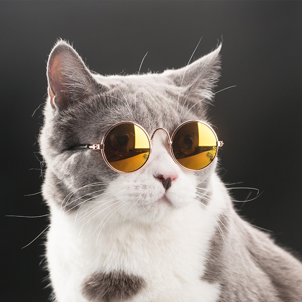 Kacamata Kucing Aksesoris Lucu Hewan Peliharaan Kesayangan Mainan