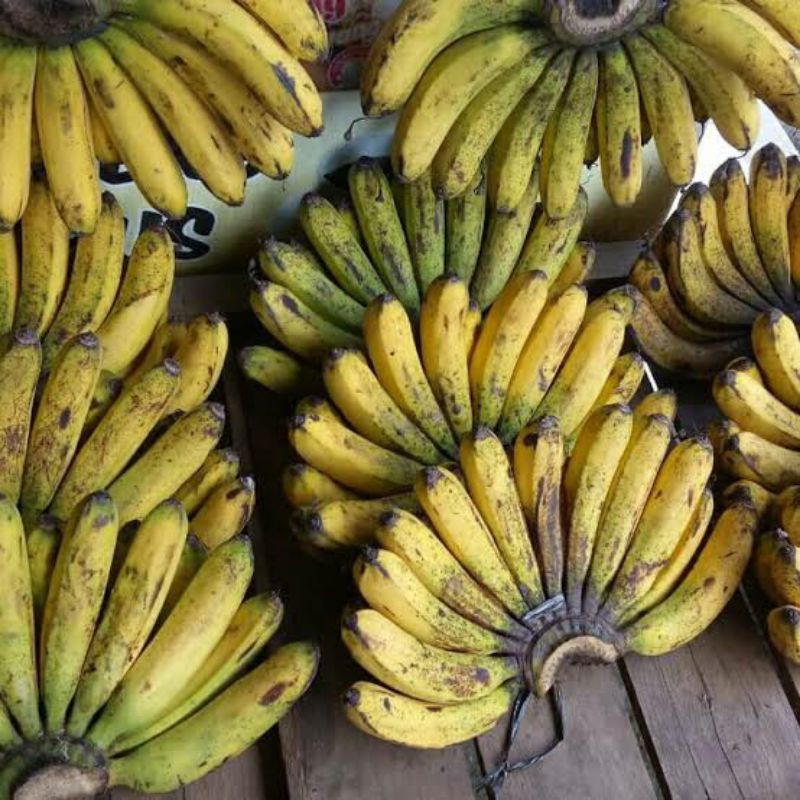 buah pisang barangan medan 1 sisir