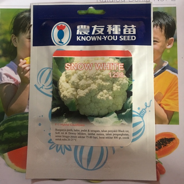 

Cauliflower Snow White