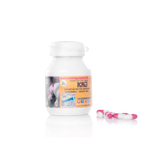 Demodex Scabies Anjing/Kucing Sembuh Dengan Jamu KNJ Kapsul isi 150 kapsul - ju199