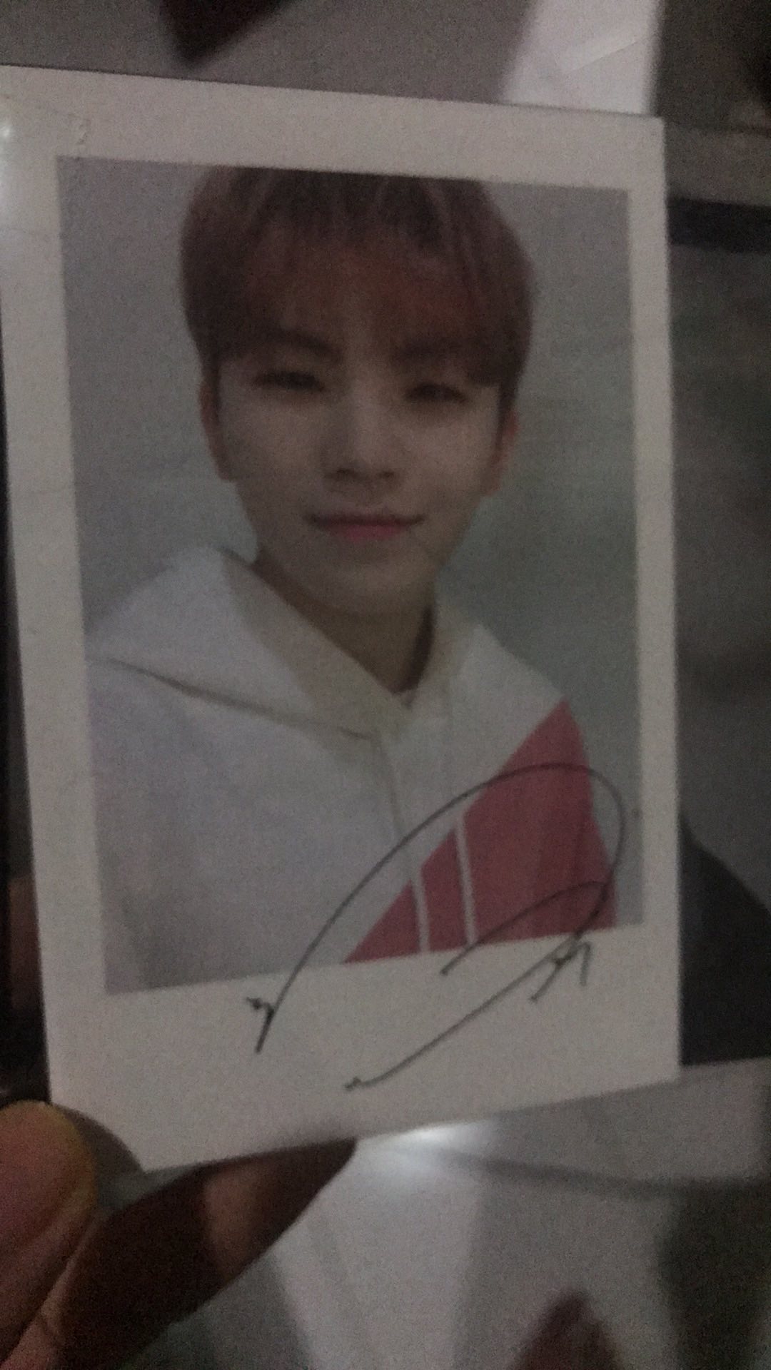 Polaroid Caratland 2020 (official)