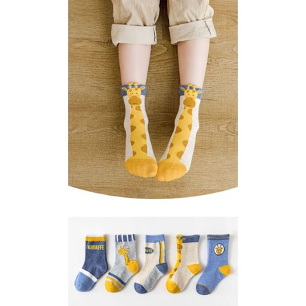 Kaos Kaki Anak Katun Premium Isi 5