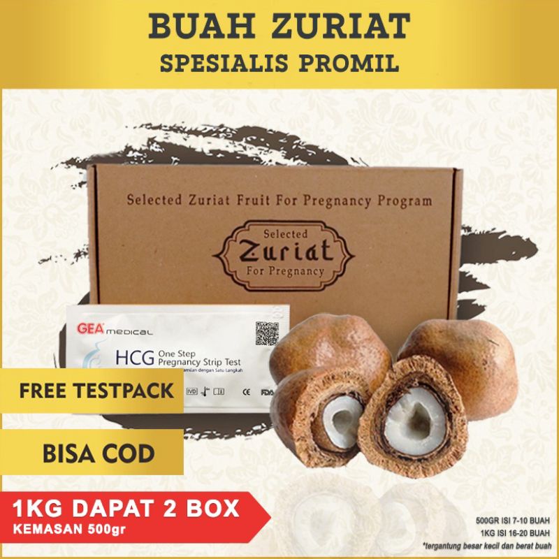 Buah Zuriat Ibnu Sina