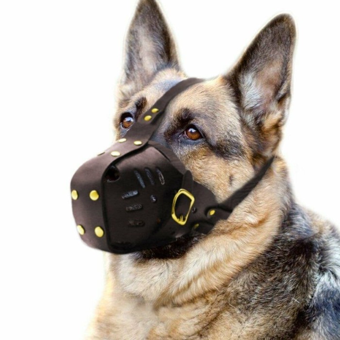 Leather Dog Muzzle Brongsong Kulit Brangus Anjing Besar K9 Working Dog Doberman German Shepherd