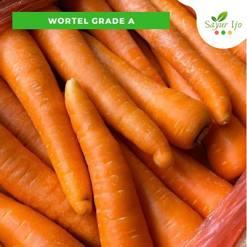 

Wortel Grade A 480 - 500 Gram Fresh Carrot Berastagi / Brastagi Sayur Hijau Segar