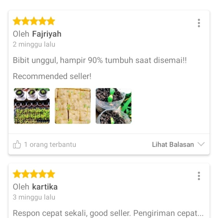 

PAKET HEMAT!!! BENIH SAYURAN 13 JENIS BIBIT SAYUR DAN BUAH TERLARIS !
