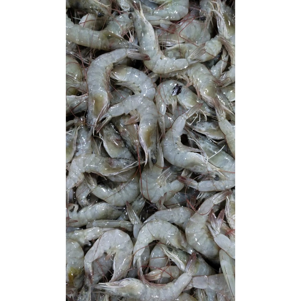 

Udang size 80 90 -1 Kg
