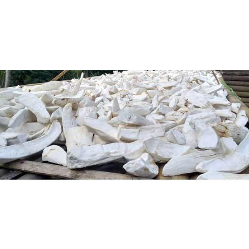 

TEPUNG GAPLEK ASLI TEPUNG BROWNIES