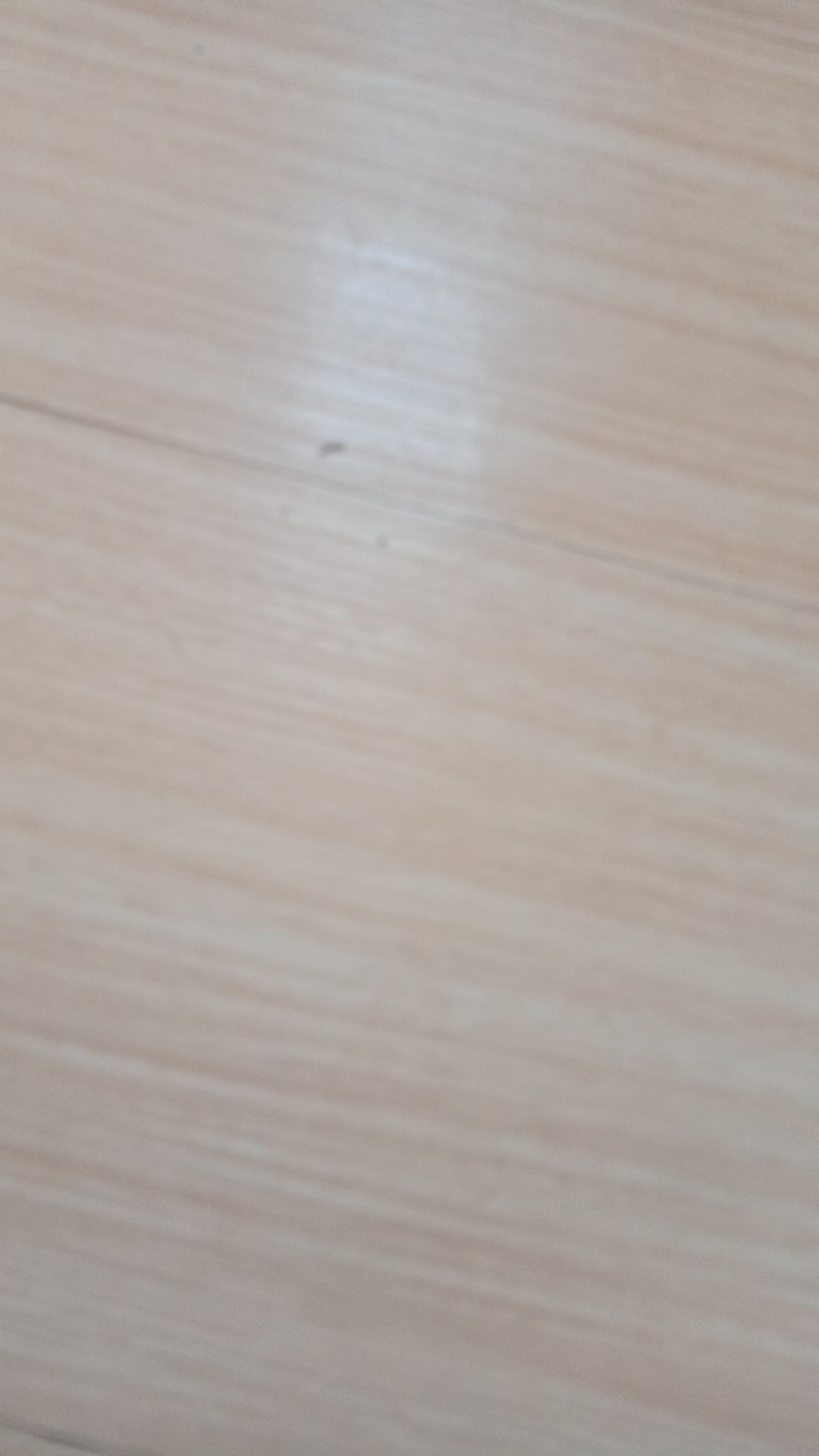 Scrapper Rakel Kape Set Isi 5