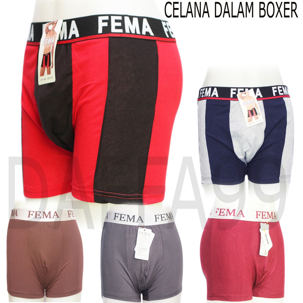 CELANA DALAM PRIA BOXER FEMA/TERMINATOR -DF