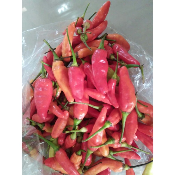 

cabe rawit merah murah