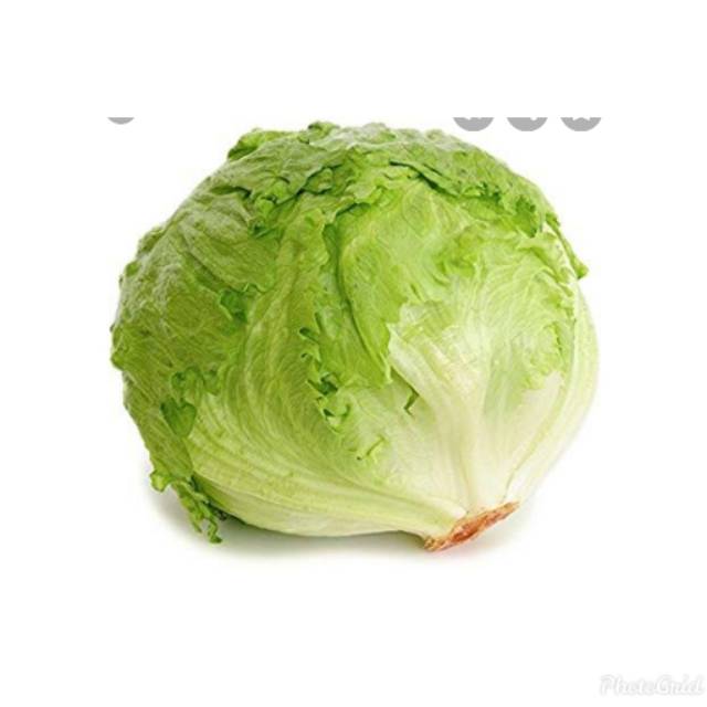 

Letuce head