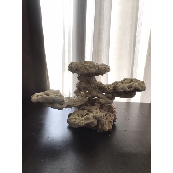 scaping deadrock, dead rock size S 15cm nano reeftank aquarium air laut