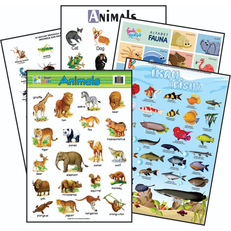 Jual POSTER HEWAN | Shopee Indonesia