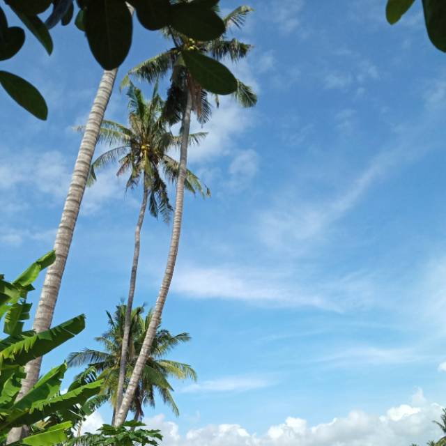 hida_siti.zahra.zahwa4