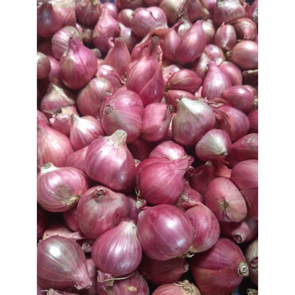 

Bawang Merah Murah