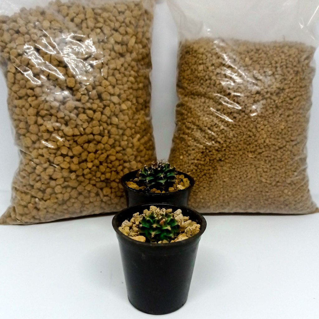 IBARAKI AKADAMA Repack