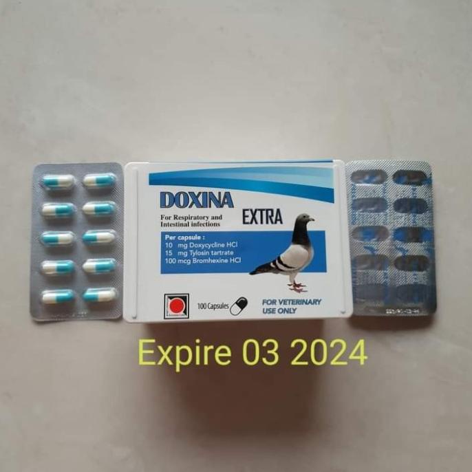 TERLARIS DOXINA EXTRA Isi 100 kapsul Murah