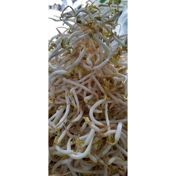 

toge 250g
