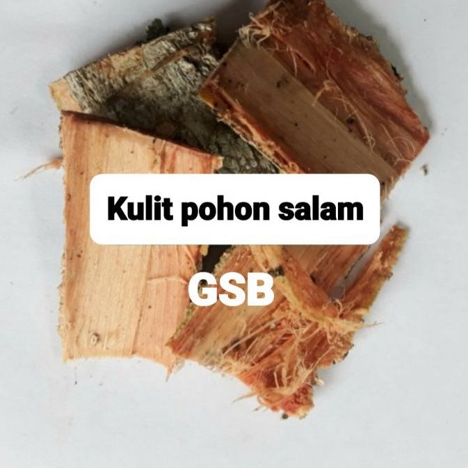 

Kulit pohon salam segar asli 250 gram
