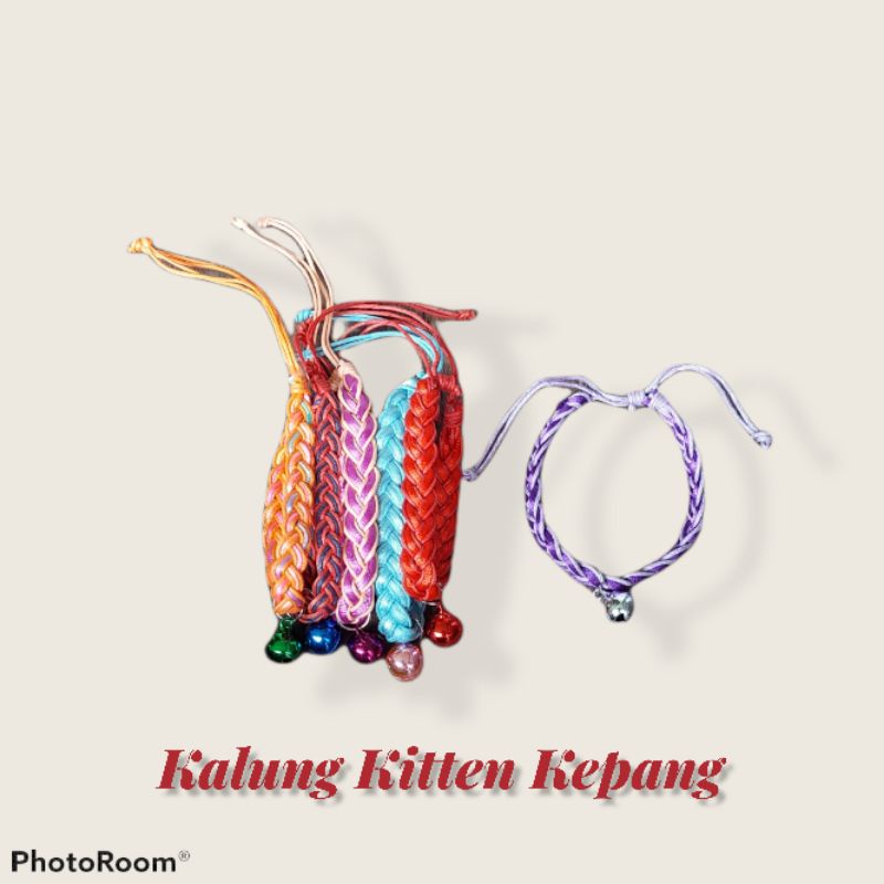 kalung kitten KEPANG kucing