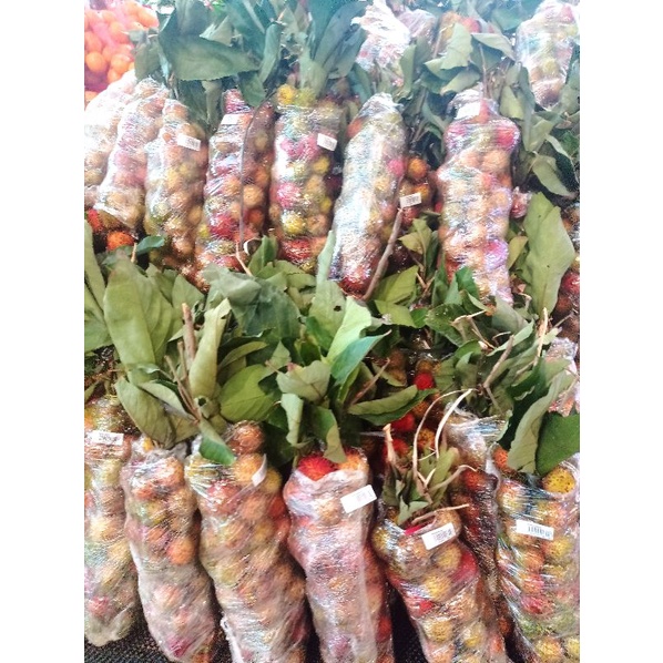 

Rambutan Rapiah Super Manis / ikat