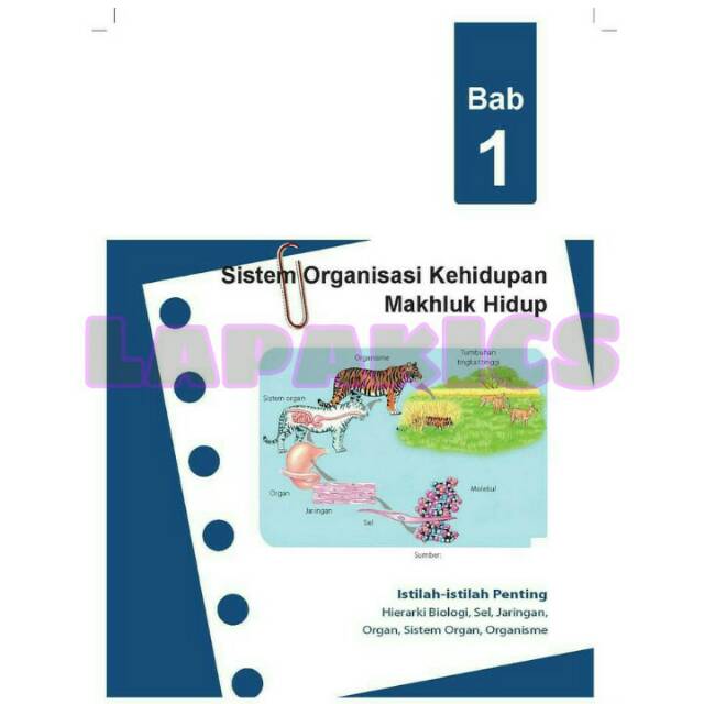 Buku IPA Ilmu Pengetahuan Alam Kelas 7 SMP Kurikulum 2013 Revisi 2017-2018 Kurtilas-6
