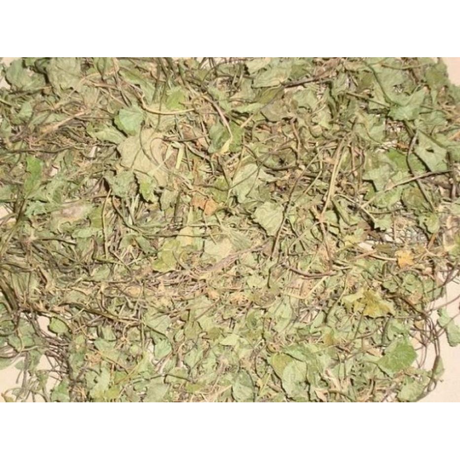 

Daun Pegagan Kering 1/2 kg Herbal Alami