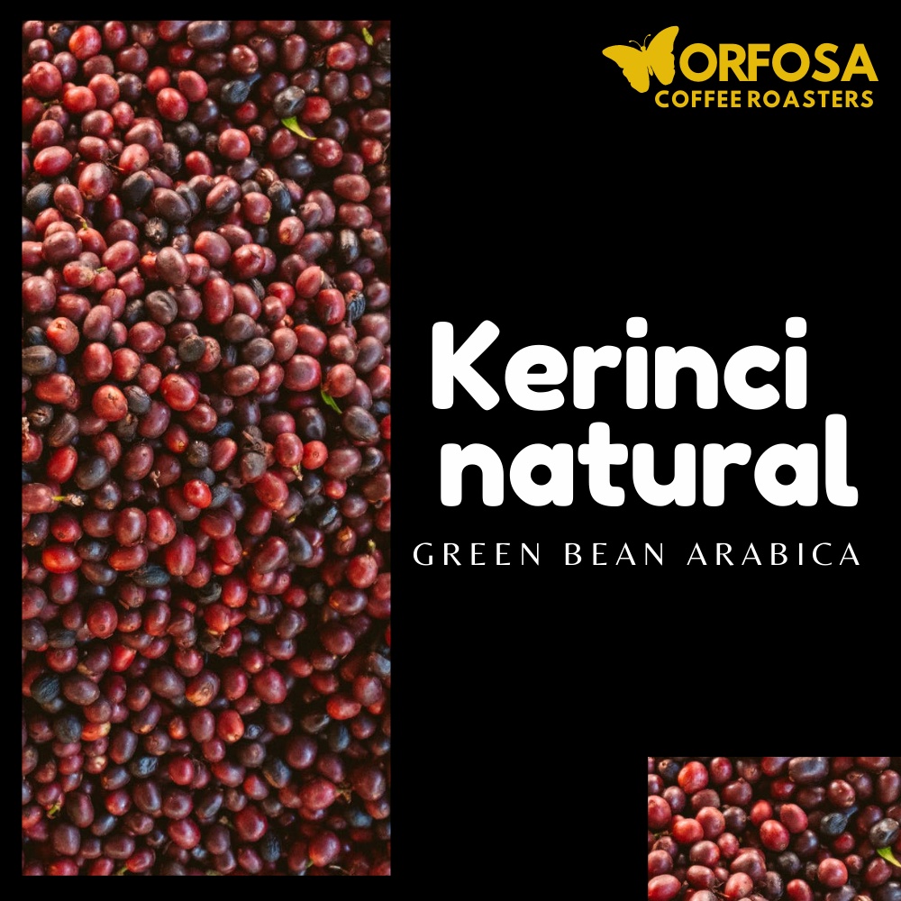 

GREEN BEAN KOPI KERINCI ARABIKA NATURAL 1KG BIJI KOPI MENTAH