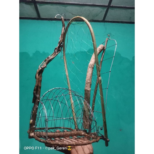 sangkar jebak/pikat burung perkutut merbuk